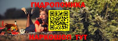 молекула духа Уссурийск