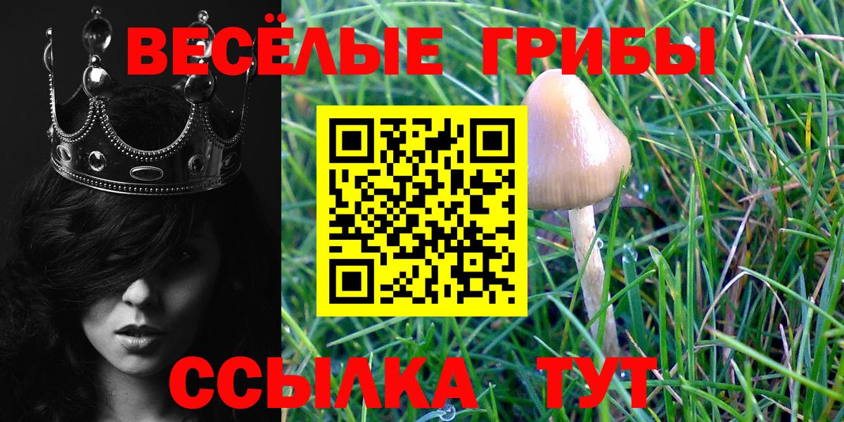 Псилоцибиновые грибы MAGIC MUSHROOMS Набережные Челны